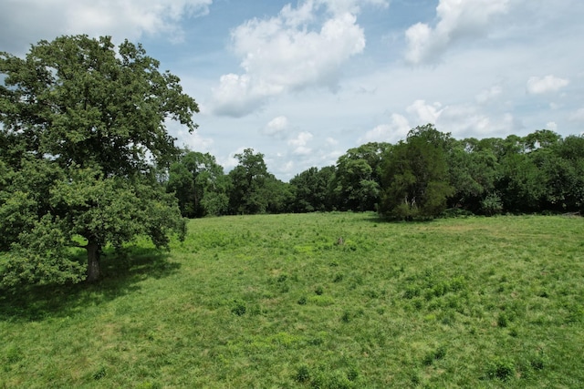 0 Wilson Pike, Franklin, TN 37067 - photo 14