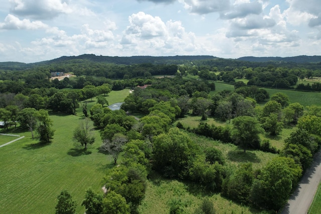 0 Wilson Pike, Franklin, TN 37067 - photo 10