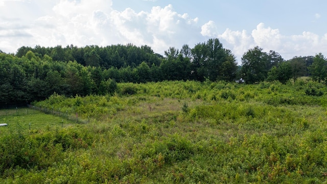 0 Tennessee City Rd W, Dickson, TN 37055 - photo 20