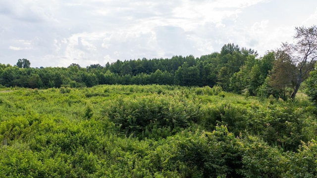 0 Tennessee City Rd W, Dickson, TN 37055 - photo 4