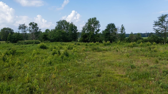0 Tennessee City Rd W, Dickson, TN 37055 - photo 21