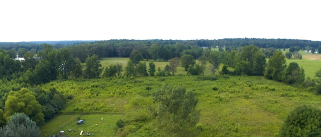 0 Tennessee City Rd W, Dickson, TN 37055 - photo 31