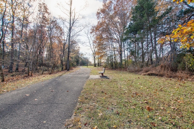 2052 Seiver Ln, White House, TN 37188 - photo 51