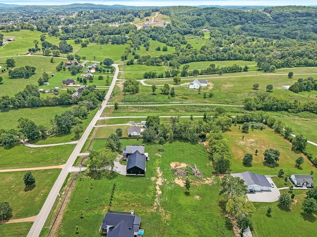 3198 Horn Springs Rd, Lebanon, TN 37087 - photo 5
