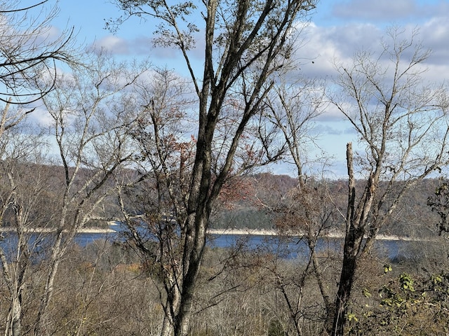 0 Davidson Rd, Smithville, TN 37166 - photo 1
