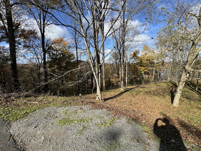 0 Davidson Rd, Smithville, TN 37166 - photo 3