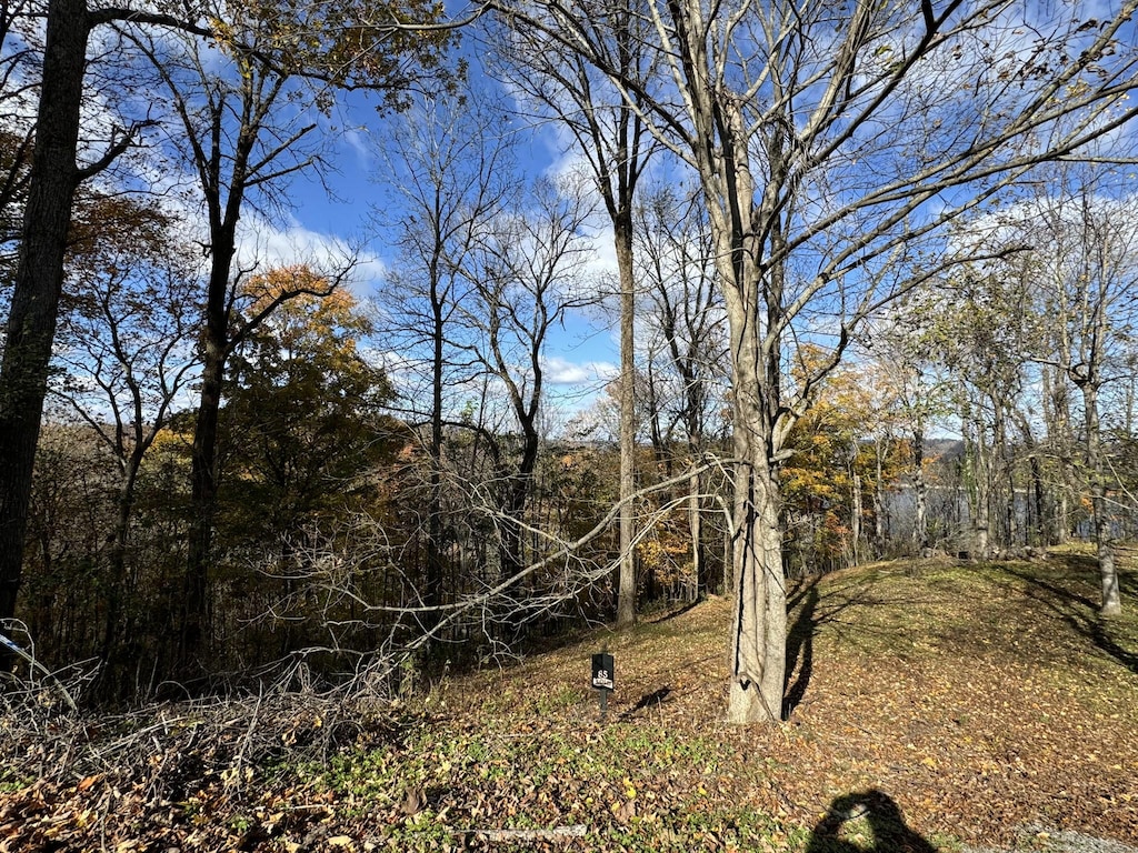 0 Davidson Rd, Smithville, TN 37166 - photo 4