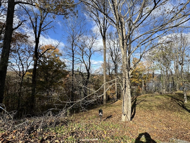 0 Davidson Rd, Smithville, TN 37166 - photo 4