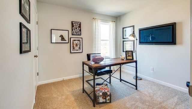 2024 Seiver Ln, White House, TN 37188 - photo 16