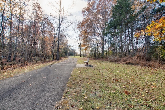 2024 Seiver Ln, White House, TN 37188 - photo 49