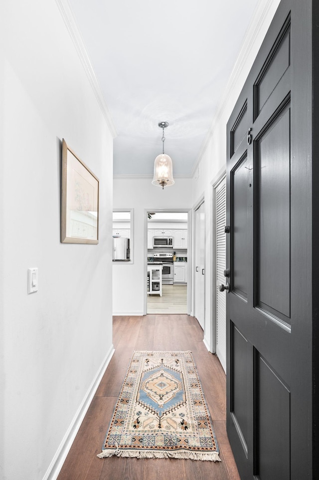 4500 Post Rd Unit 6, Nashville, TN 37205 - photo 4