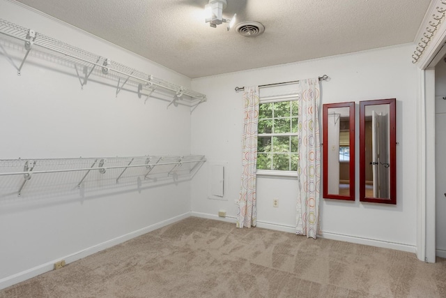 103 James Ave NW, Cleveland, TN 37311 - photo 30