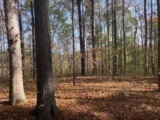 5671 Pinewood Rd, Franklin, TN 37064 - photo 38