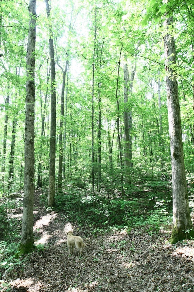 5671 Pinewood Rd, Franklin, TN 37064 - photo 85