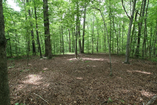 5671 Pinewood Rd, Franklin, TN 37064 - photo 7