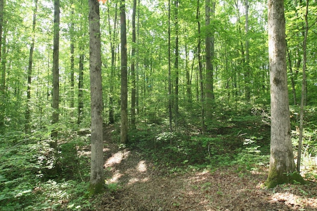 5671 Pinewood Rd, Franklin, TN 37064 - photo 87