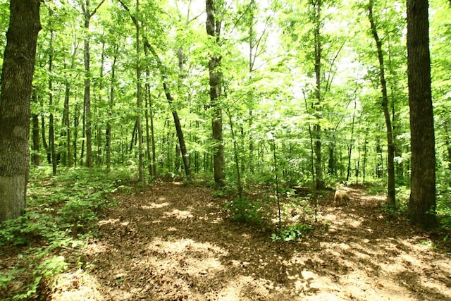 5671 Pinewood Rd, Franklin, TN 37064 - photo 97