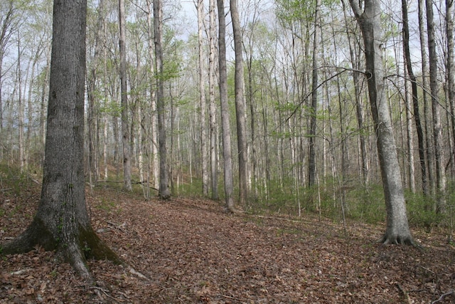 5671 Pinewood Rd, Franklin, TN 37064 - photo 5