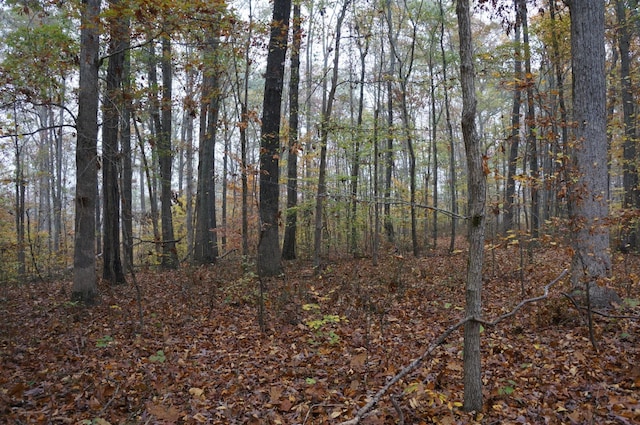 5671 Pinewood Rd, Franklin, TN 37064 - photo 31