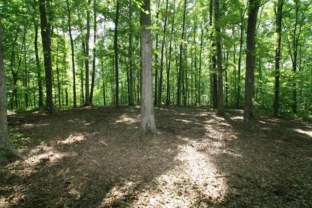 5671 Pinewood Rd, Franklin, TN 37064 - photo 89