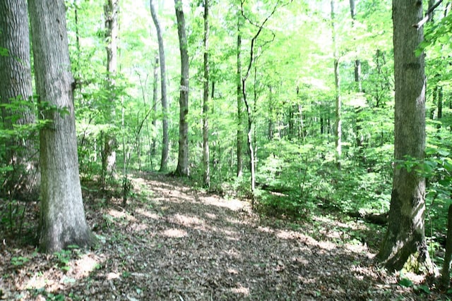 5671 Pinewood Rd, Franklin, TN 37064 - photo 86