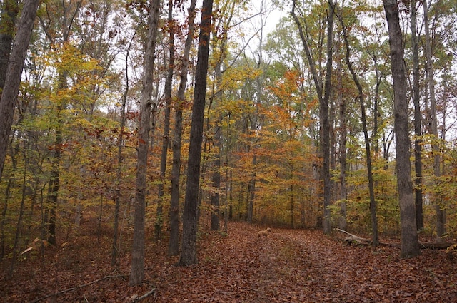 5671 Pinewood Rd, Franklin, TN 37064 - photo 61