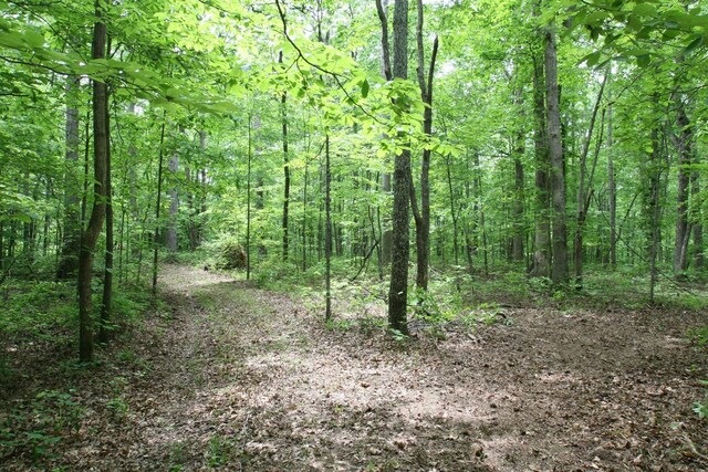 5671 Pinewood Rd, Franklin, TN 37064 - photo 99