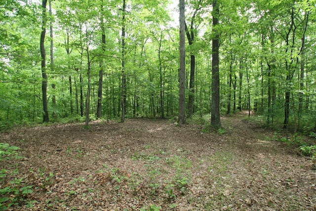 5671 Pinewood Rd, Franklin, TN 37064 - photo 6