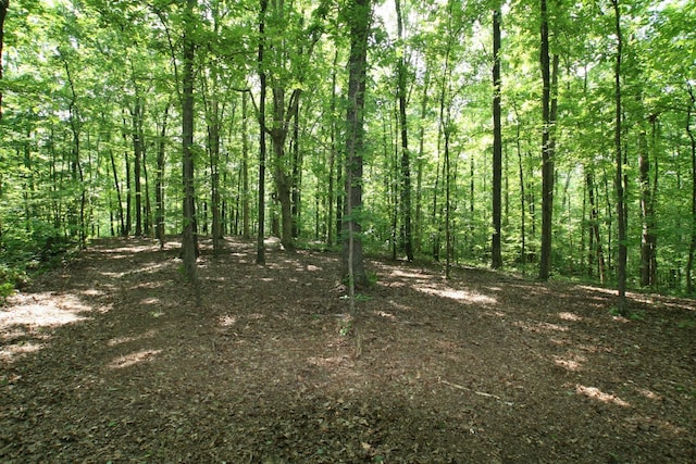 5671 Pinewood Rd, Franklin, TN 37064 - photo 88
