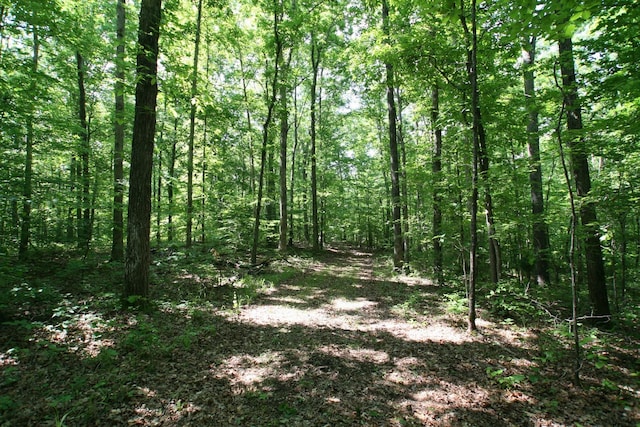 5671 Pinewood Rd, Franklin, TN 37064 - photo 90