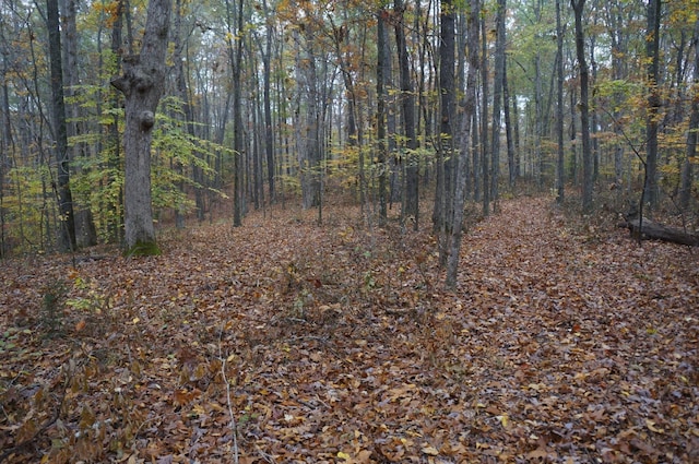 5671 Pinewood Rd, Franklin, TN 37064 - photo 34