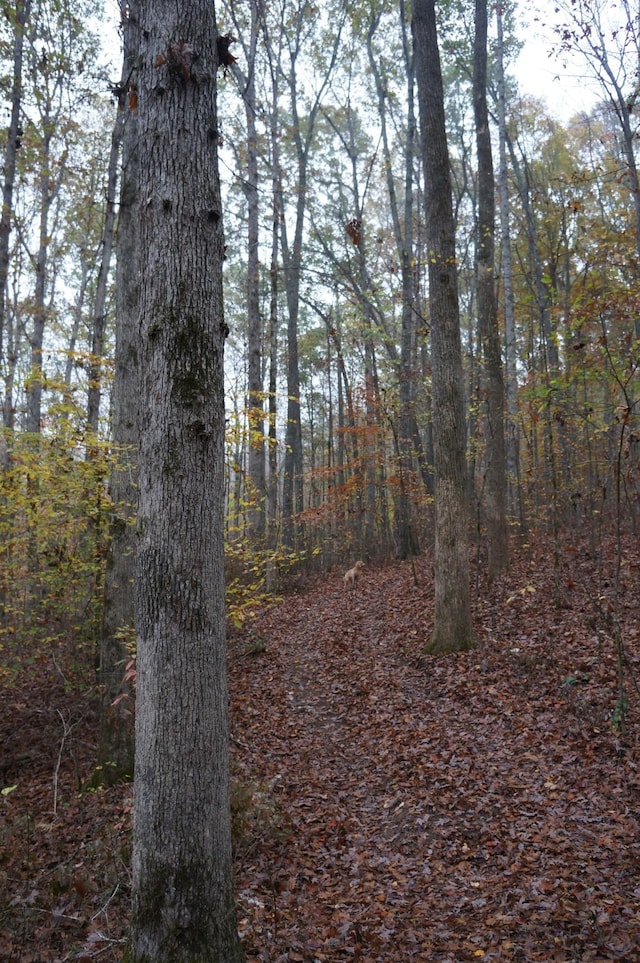 5671 Pinewood Rd, Franklin, TN 37064 - photo 30
