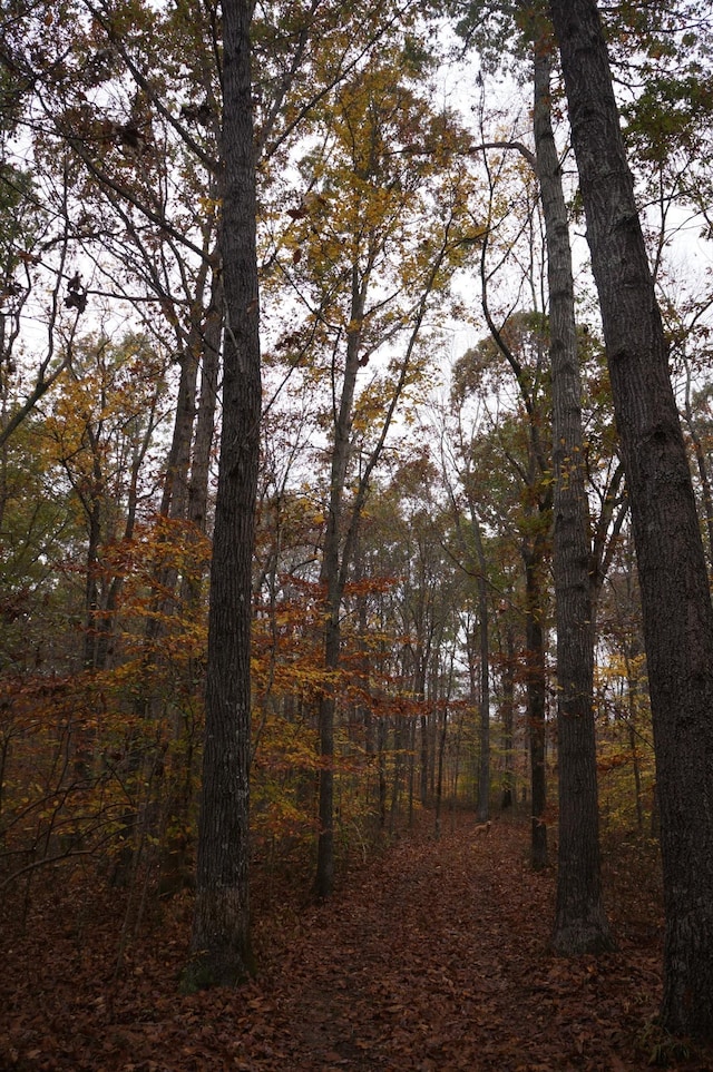 5671 Pinewood Rd, Franklin, TN 37064 - photo 59