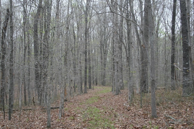 5671 Pinewood Rd, Franklin, TN 37064 - photo 78