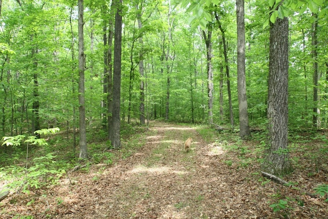 5671 Pinewood Rd, Franklin, TN 37064 - photo 100