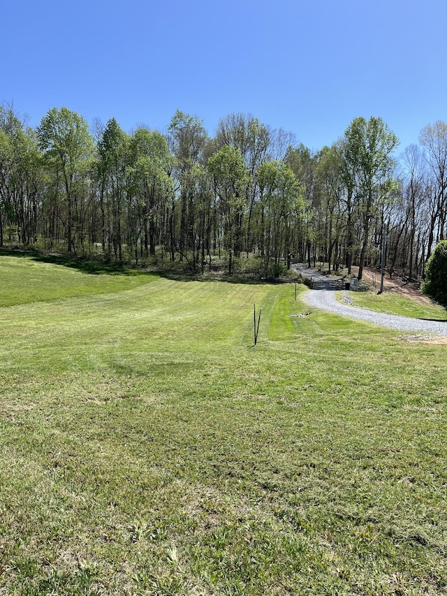 4703 Mount Zion Rd, Springfield, TN 37172 - photo 1