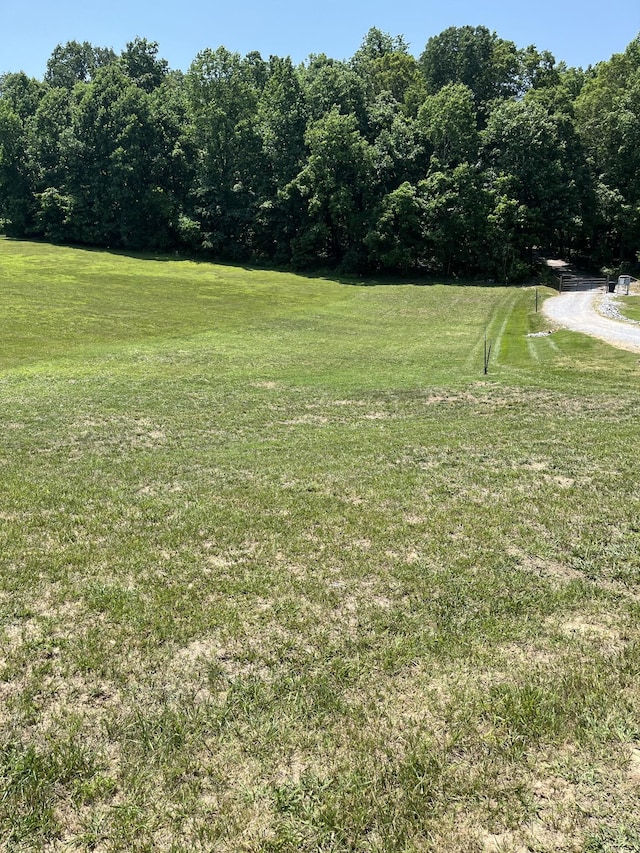 4703 Mount Zion Rd, Springfield, TN 37172 - photo 2