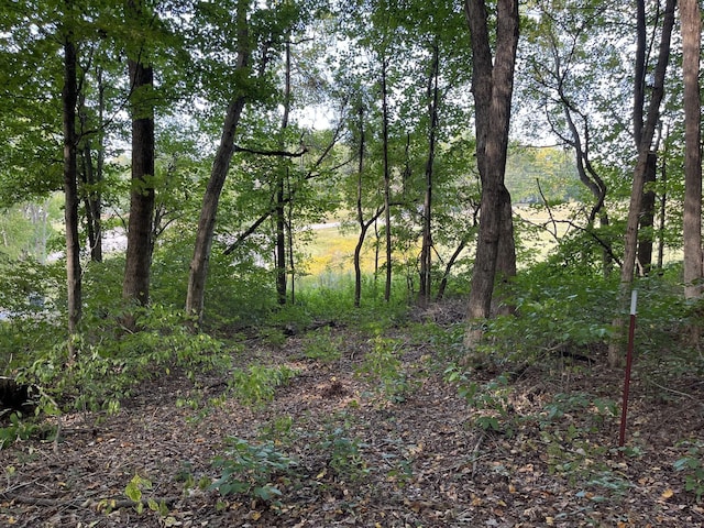 4703 Mount Zion Rd, Springfield, TN 37172 - photo 3