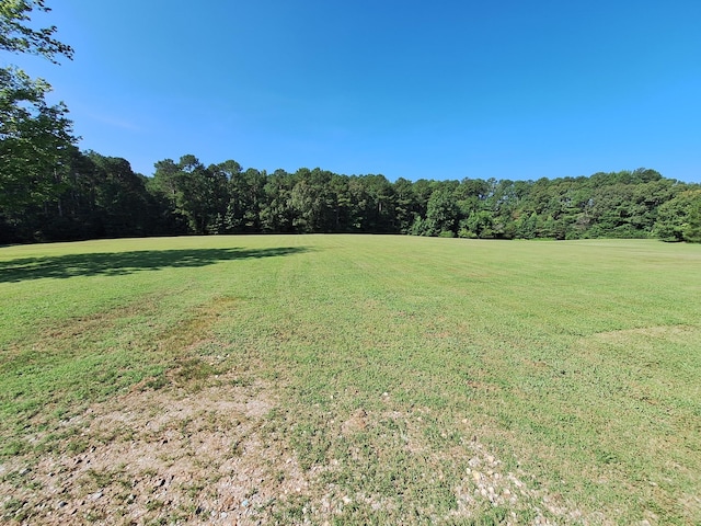 261 Debruce Rd, Camden, TN 38320 - photo 9
