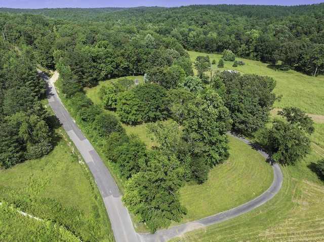 2210 Haynes Rd, Sugar Tree, TN 38380 - photo 17