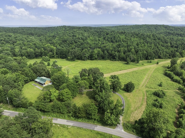 2210 Haynes Rd, Sugar Tree, TN 38380 - photo 24