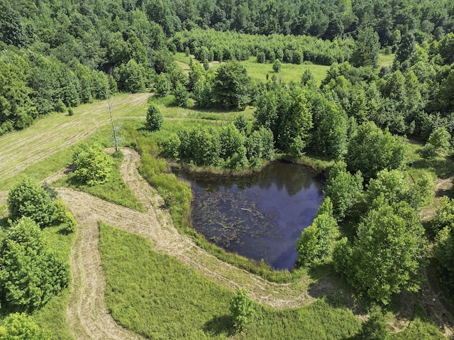 2210 Haynes Rd, Sugar Tree, TN 38380 - photo 7