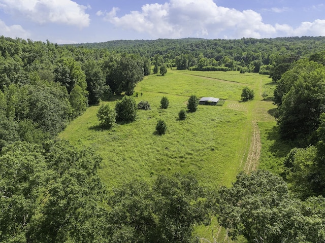 2210 Haynes Rd, Sugar Tree, TN 38380 - photo 12