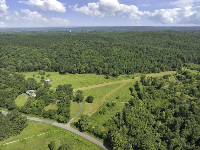 2210 Haynes Rd, Sugar Tree, TN 38380 - photo 1