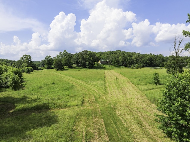 2210 Haynes Rd, Sugar Tree, TN 38380 - photo 14