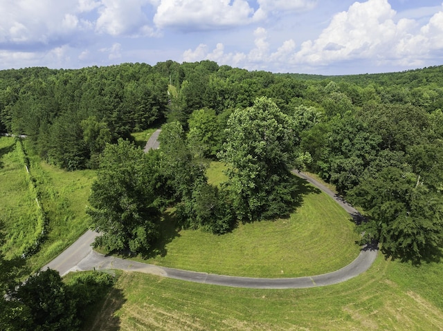 2210 Haynes Rd, Sugar Tree, TN 38380 - photo 16