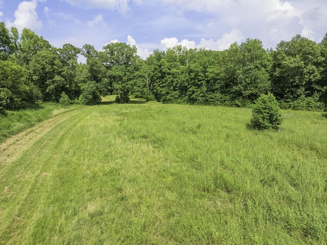2210 Haynes Rd, Sugar Tree, TN 38380 - photo 9