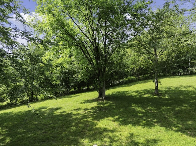 2210 Haynes Rd, Sugar Tree, TN 38380 - photo 21