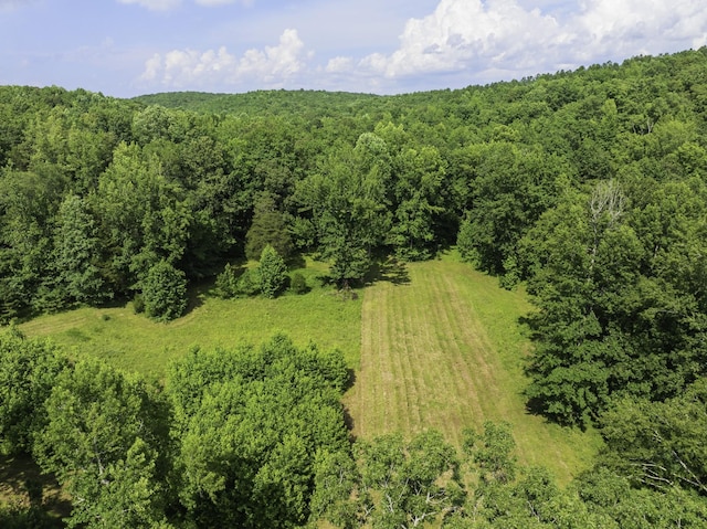 2210 Haynes Rd, Sugar Tree, TN 38380 - photo 13