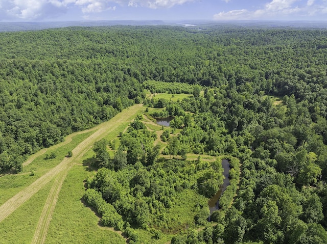 2210 Haynes Rd, Sugar Tree, TN 38380 - photo 8